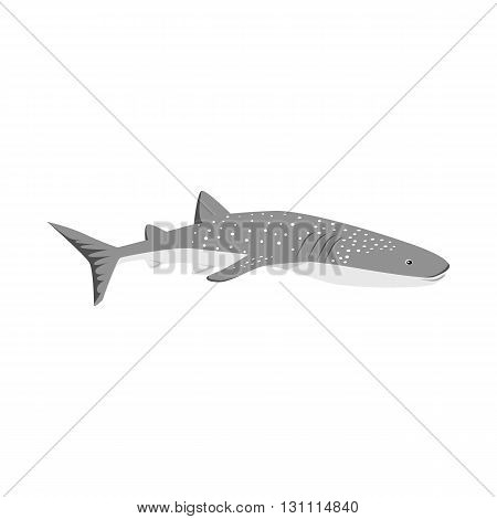 Marine predator shark design flat. Dangerous predator shark with fins and tail and sharp teeth. Aggressive fish tiger shark in black color living in the ocean or the sea. Vector illustration