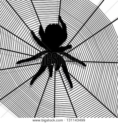 spiderweb cobweb halloween pattern background vector spider web creepy texture gossamer insect objects scary Spider's illustration.