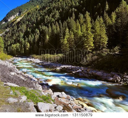 Pastoral in the Alpine mountain valley in Austria. Rapid mountain stream of coniferous forests. Cascades of cold water at the source of the famous Krimml waterfalls.