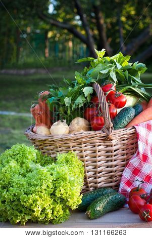 Basket with fresh farm vegetables in the grass. Picnic. Healthy food.