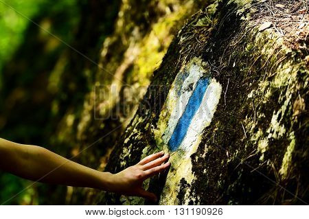Hiking blue stripe paint marking on a rock with hiker on the trail