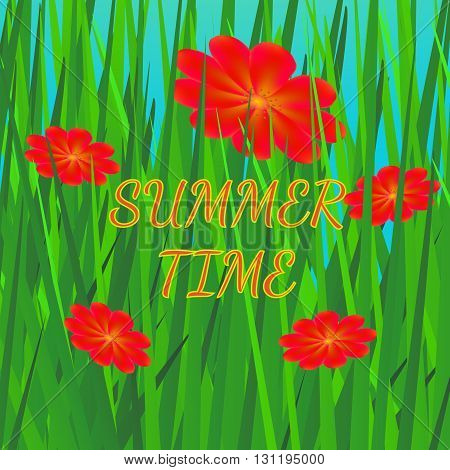 Summer background with grass and flowers. Bright summer vector illustration in green and red colors.
