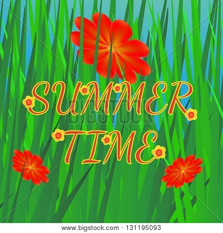 Summer background with grass and flowers. Bright summer vector illustration in green and red colors.