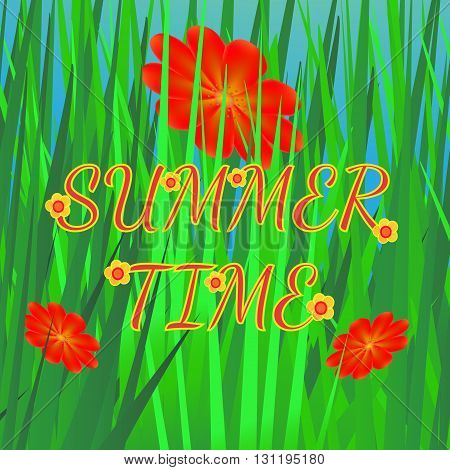 Summer background with grass and flowers. Bright summer vector illustration in green and red colors.