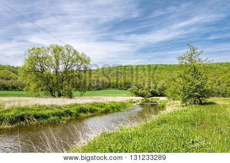 Spring Landscape With Green Meadow, River And Trees