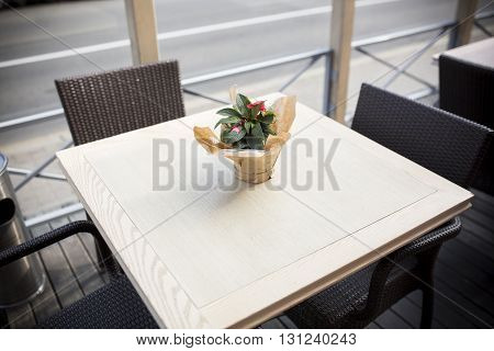 Fine Free cafe Table Setting With Bouquet