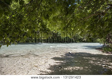 Summer landscape with river riverside and many green trees.