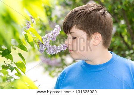 boy smelling a lilac flowers in the park