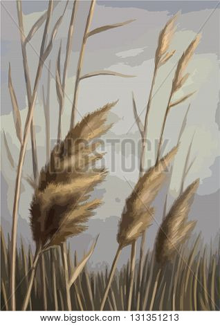 Reed against the sky illustration drawdring landscape