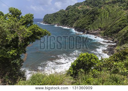 Scenic Landscape In Dominica