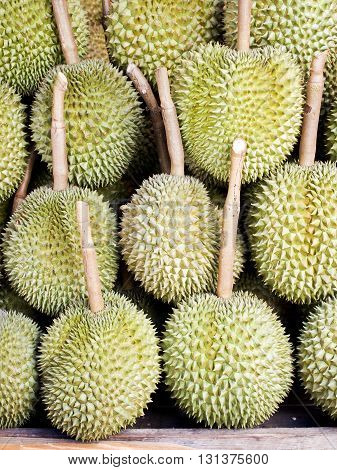 Group of fresh durian in the market.