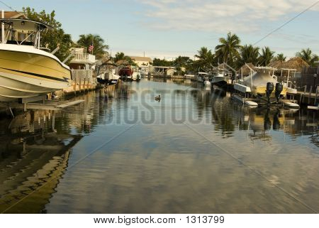Florida Lagoon