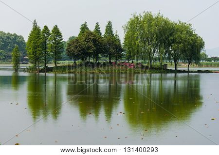 Green Island is reflected in the water. Trees and flowers are reflected in the calm water on the background of the forest and the horizon