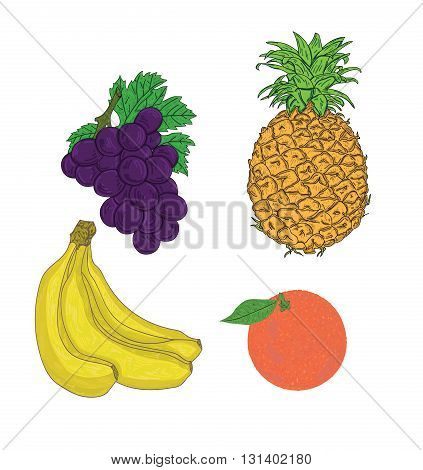 Fruits, set of vector illustrations on a white background
