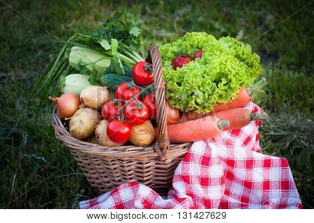 Basket with fresh farm vegetables in the grass. Picnic. Healthy food.