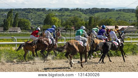 PYATIGORSK, RUSSIA - MAY 22: Start gates for horse races for the prize of Letni in Pyatigorsk, Caucasus, Russia on May 22,2016 .