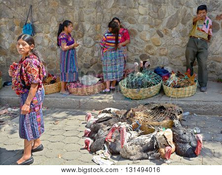 QUETZALTENANGO GUATEMALA APRIL 28 2016 : People sell turkeys in Quetzaltenango maket. This native market is the most colorful in Central America