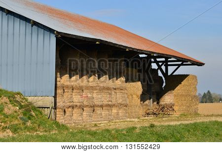 Fleury la Foret France - march 15 2016 : a shed in a field