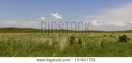 Beautiful green spring steppe and wonderful blue sky
