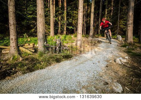 Mountain biker riding on bike in spring inspirational forest sunset landscape. Man cycling MTB on enduro trail path. Sport fitness motivation and summer inspiration. Rider mountain biking in woods.