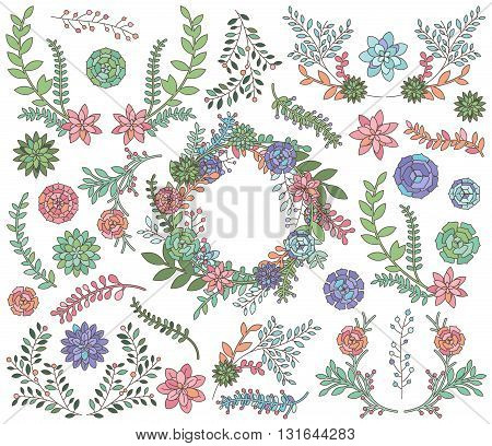 Succulent1.eps