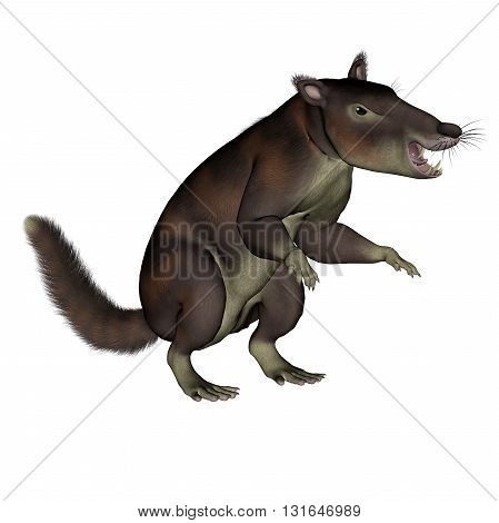 Cronopio dentiacutus prehistoric mammal sitting isolated in white background - 3D render