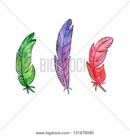 set of watercolor drawing feathers, ornate color plumelet isolated at white background, hand drawn elements