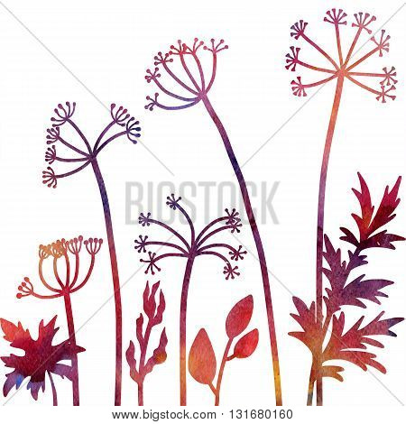 dill plants, floral composition with wild plants drawing in watercolor, drawing floral card,  watercolor artistic nature background, hand drawn illustration
