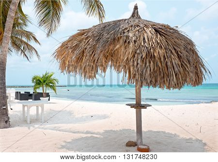 Grass umbrella at the beach on Aruba island