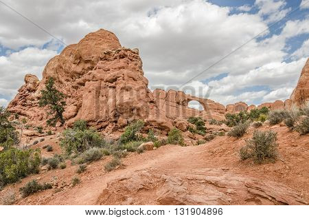 Hiking trail to Skyline Arch in Arches National Park with great contrasts and textures between the green plant life red sandstone blue sky and fluffy white cumulus clouds.
