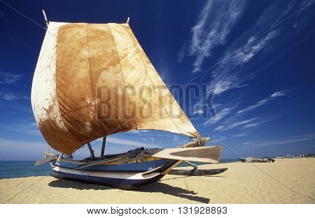 Sri Lanka Negombo Dhoni Fishingboat