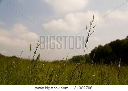 View Over The Chilterns Landscape In Buckinghamshire, England