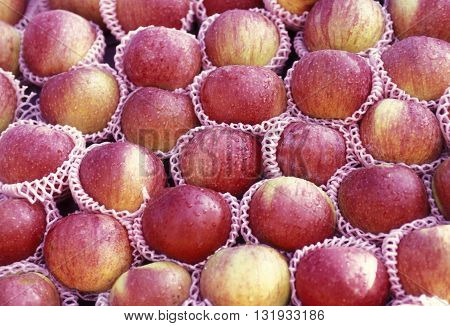 apples at the market in the town of Hikkaduwa in the southwest of Sri Lanka in Asien.