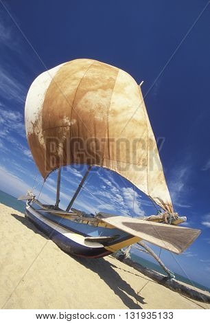 Dhoni Fishingboats at the coast of Nagombo at the westcoast of Sri Lanka in Asien.
