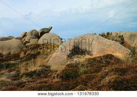 Path of the customs officers, Côtes-d'Armor, Brittany, France,