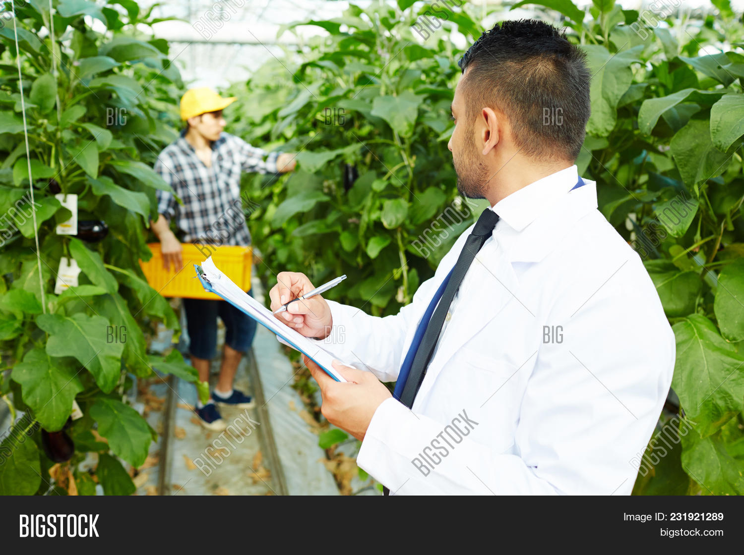 агро инженеры