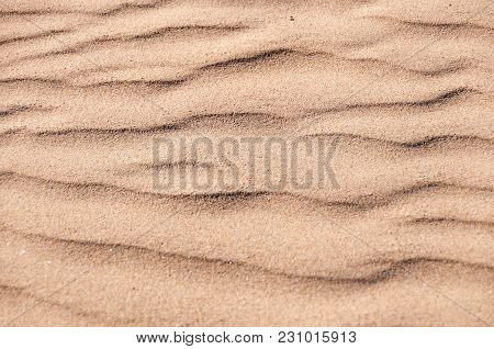 Oceano Dunes State Vehicular Recreation Area In California