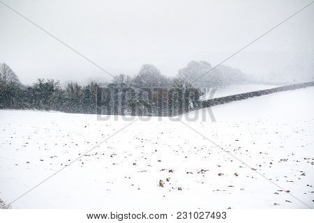 Snow Covered Landscape During The Beast From The East Winter Storm