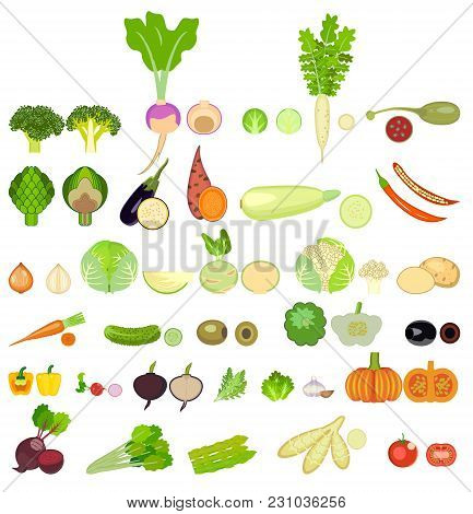 Set Of Vegetables. Thirty Two  Kinds Of Vegetables Are Whole And In A Cut.