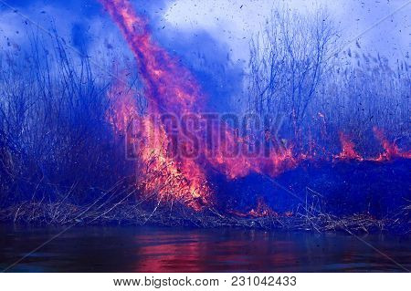 Disaster. Burning Reeds In The Spring In The Delta Of The Volga In The Astrakhan Region.
Smoke From 