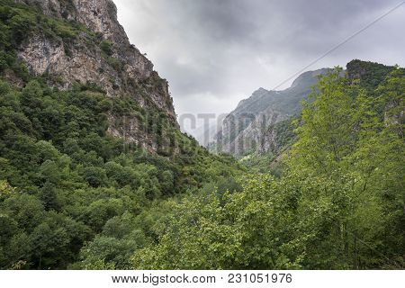 Woodlands In Somiedo Valley, Somiedo Nature Reserve. It Is Located In The Central Area Of The Cantab