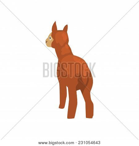 Brown Lamb, Cute Farm Animal Back View Vector Illustration Isolated On A White Background.
