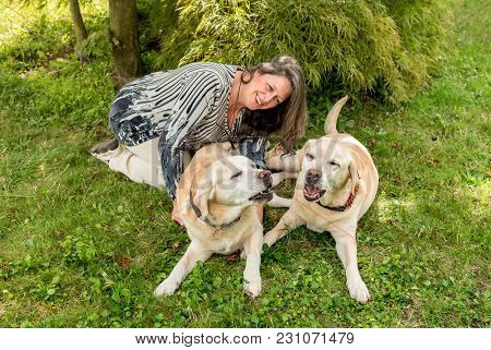 Happy Woman With Two Labrador Dogs On Grass In The Park.