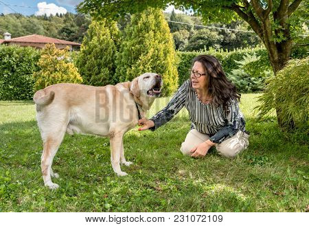 Woman Talking With Her Labrador Dog In The Garden.