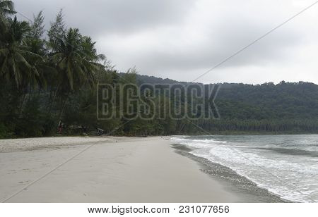 Ko Kut,thailand- February 26,2018: Coconut Palms On The Paradise Coconut Island