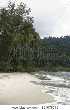 Ko Kut,thailand- February 26,2018: Coconut Palms On The Paradise Coconut Island