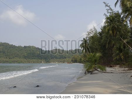Ko Kut,thailand- February 26,2018: Coconut Palms On The Paradise Coconut Island