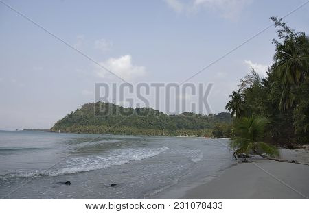 Ko Kut,thailand- February 26,2018: Coconut Palms On The Paradise Coconut Island