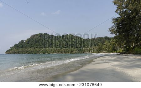 Ko Kut,thailand- February 26,2018: Coconut Palms On The Paradise Coconut Island