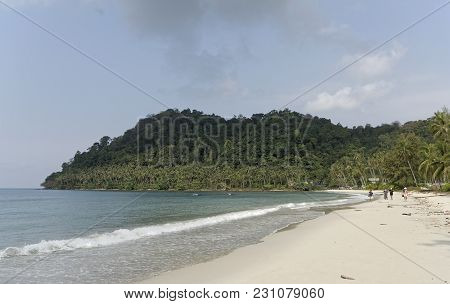 Ko Kut,thailand- February 26,2018: Coconut Palms On The Paradise Coconut Island